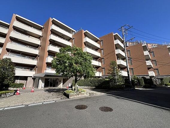 人気の小田急線...