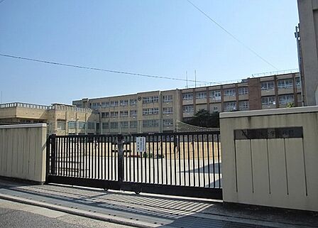 堺市立榎小学校まで714m