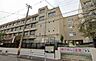 周辺：大阪市立南津守小学校まで272m