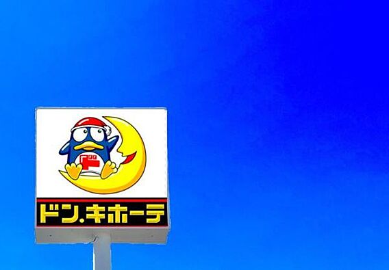 ドン・キホーテ...