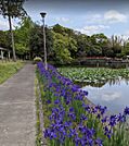 早水公園まで698m、ジョギング、ウォーキング、散歩に最適です。休憩出来るベンチもあり木々や花々がとても綺麗です。