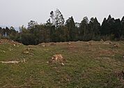 梶山城まで727m、庄内の乱の際に伊集院方が立て籠った都城12外城の1つです。