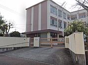 名古屋市立たかしま小学校まで1133m