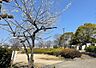 周辺：梅里公園まで422m