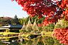 周辺：白鳥公園まで720m