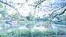 周辺：隼人池公園まで341m
