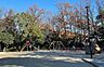 周辺：八事富士見公園まで312m
