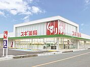 スギ薬局豊明三崎店まで1150m