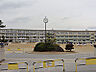 周辺：岡崎市立竜海中学校まで2600m
