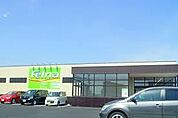 Felna大和店まで1300m