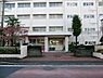 周辺：横浜市立新田中学校まで1251m