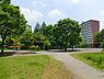 周辺：白山公園まで876m