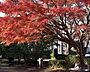 周辺：御幣公園まで1594m