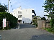 桜台小学校まで245m
