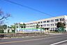 周辺：豊橋市立大崎小学校まで1129m