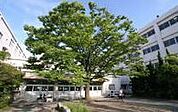 草津市立草津中学校まで1836m