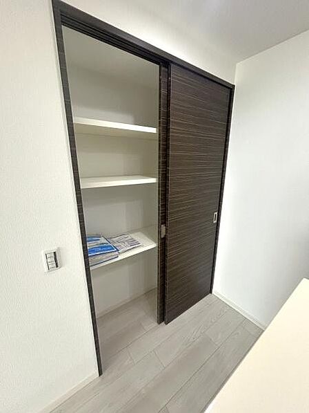 シックなダークブラウンの扉が空間を引き締める、棚付きのシステム収納です。棚板の高さを変更できる可動棚仕様。収納する物の大きさに合わせて無駄なく整理できます。
