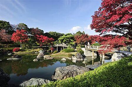 大仙公園まで728m