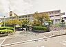 周辺：堺市立浅香山小学校まで590m