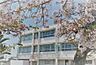 周辺：岩出市立山崎小学校まで700m