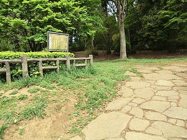 周辺を拡大表示