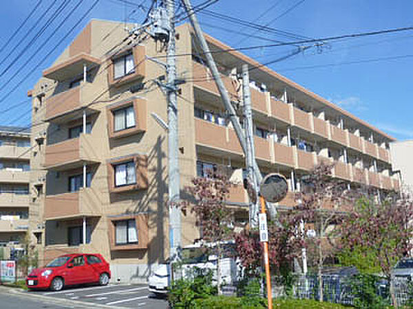 FIELD TOP ISHIKAWA Latium 403号室｜茨城県水戸市石川(賃貸マンション2DK・4階・54.87㎡)の写真 その1