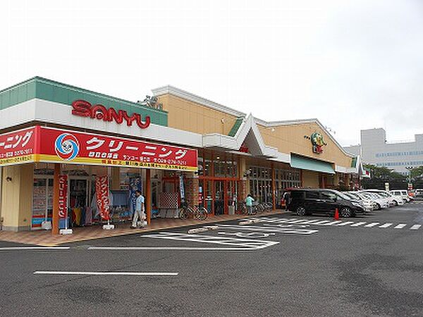 画像25:サンユーストアー堀口店