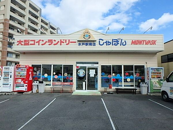 SHIRAUME TERRACE B 402号室｜茨城県水戸市白梅(賃貸マンション3LDK・4階・78.96㎡)の写真 その17