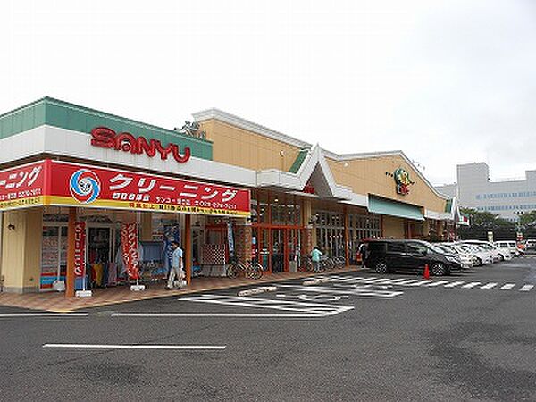画像6:サンユーストアー堀口店