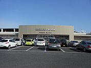 ファッションクルーズ