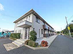 グレイスコート