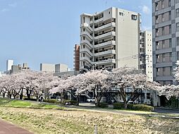 プレスト水戸中央