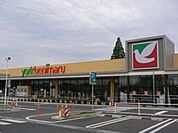ヨークベニマル東石川店