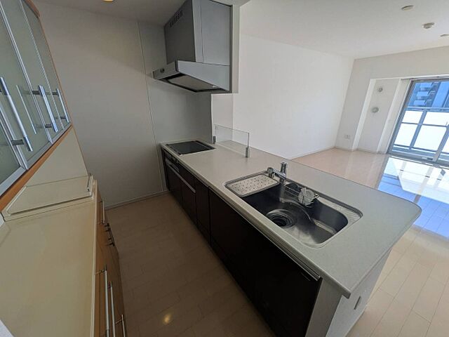 キッチン レクセル水戸大町 10階/1003号室