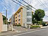 周辺：野火止小学校（400m）