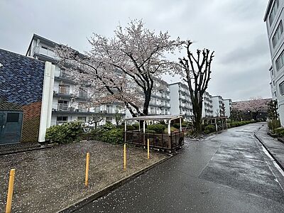 外観：五感で感じる、現地でしかわからない事も沢山ございます。周辺環境なども一緒にご案内いたしますのでお気軽にお問合せください。 