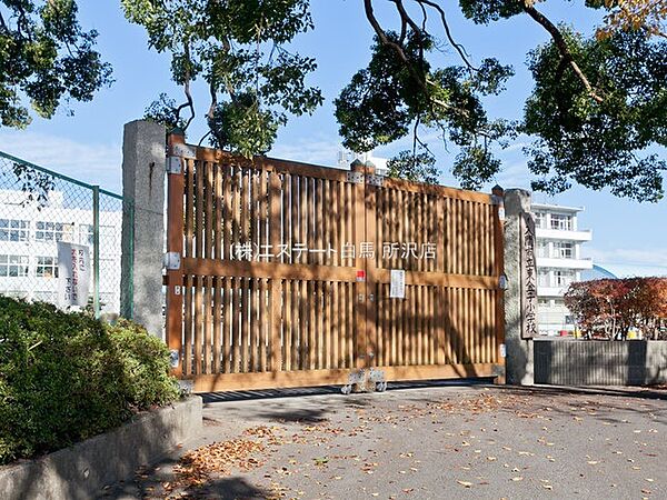 周辺を拡大表示