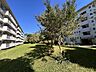 外観：総世帯数250世帯のマンションです。