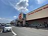 周辺：ベルク　ベスタ東鷲宮店（1360m）