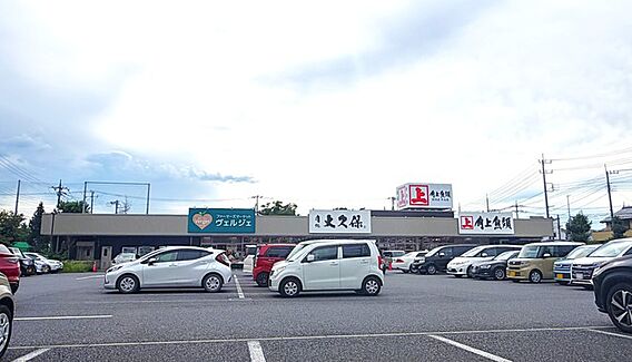 角上魚類 大宮...