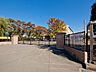 周辺：白岡市立南小学校（630m）