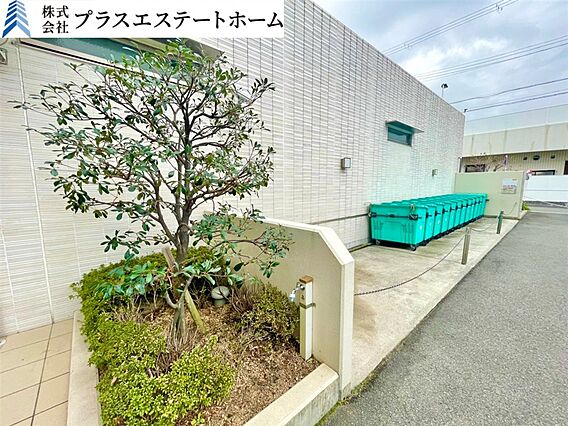 築浅ハイグレー...