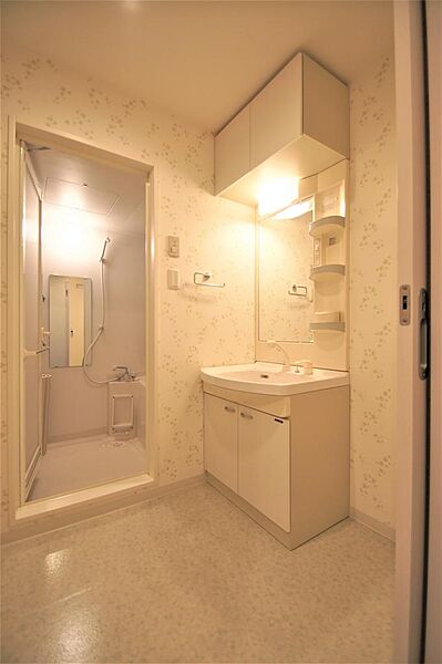 画像19:洗面所には人気設備のシャワー付き洗面化粧台があります。身だしなみを整える際に便利です。