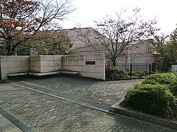 [周辺] 横浜市立中川西中学校　徒歩11分（約850m)