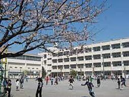 [周辺] 【小学校】横浜市立坂本小学校まで242ｍ