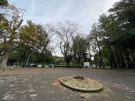 城北中央公園 ...