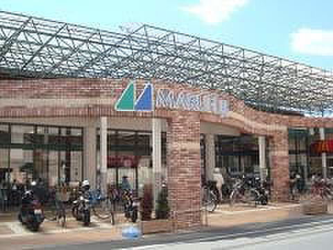 マルフジ　千ヶ...