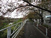 目の前は馬込川の遊歩道