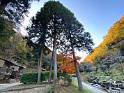 鳴滝森林公園 オートキャンプ場/野鳥観察小屋 13090m