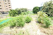 広々とした畑で、夏はひまわり畑！秋はコスモス畑！！　と、お花畑にもできそうな広さがございます！！
